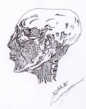 Croquis_10.jpg